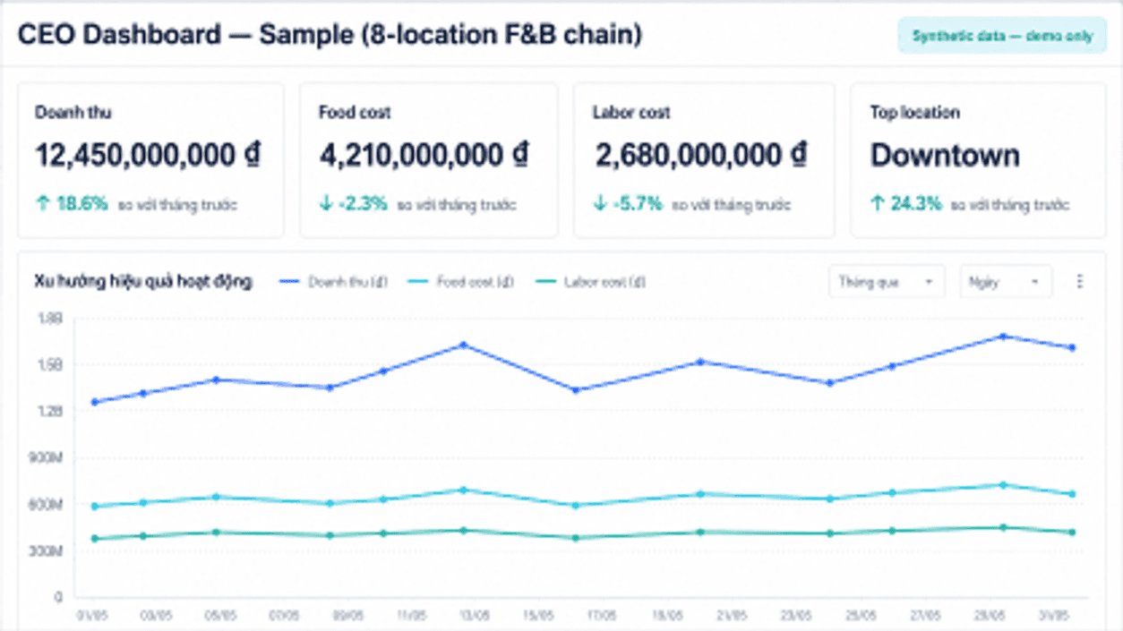 CEO Dashboard mẫu - preview thumbnail