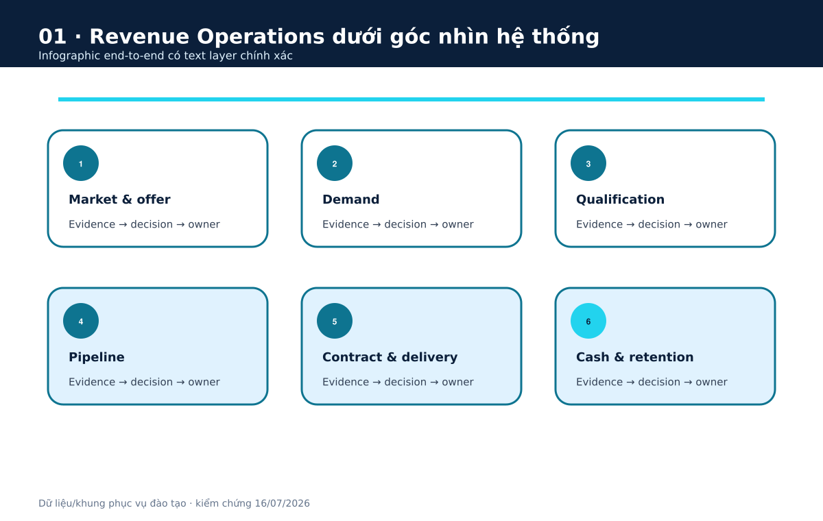 Infographic hệ thống